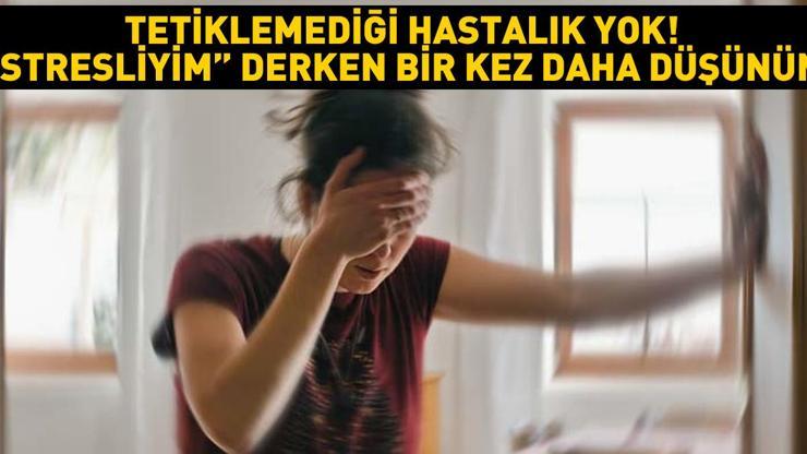 Kanser, tansiyon, diyabet, kalp... Bütün hastalıkların temelinde o var Modern çağın en büyük sorunu : Stresliyim derken bir kez daha düşün