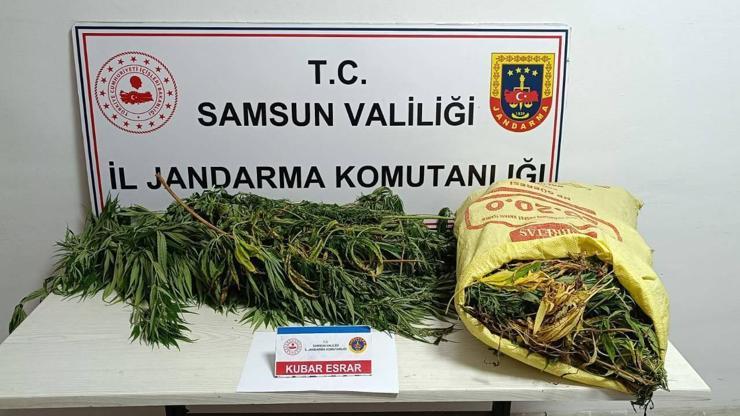 Samsun''da uyuşturucu operasyonu: 1 gözaltı, 1 kişi de aranıyor Samsun''da uyuşturucu operasyonu: 1 gözaltı, 1 kişi de aranıyor
