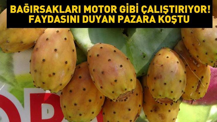 Bağırsakları motor gibi çalıştırıyor... Kansere ve akciğere faydalı Şifa kaynağı olarak biliniyor: Tanesi 10 lira, günde 500-1000 adet satılıyor