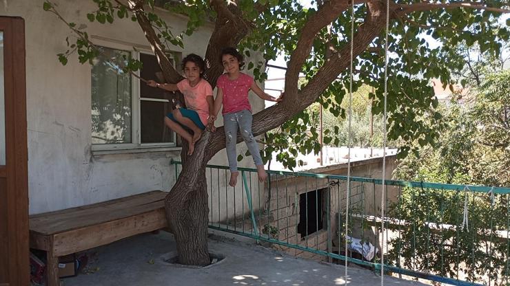 Baba yadigarı 45 yıllık dut ağacını kesmedi: Evinin balkonundan geçirdi