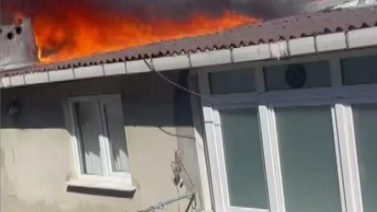 İstanbul - Sultangazi'de çatı katındaki yangında muhabbet kuşlarını son anda kurtardı İstanbul - Sultangazi'de çatı katındaki yangında muhabbet kuşlarını son anda kurtardı