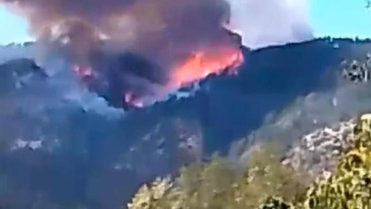 Karabük’te orman yangını
