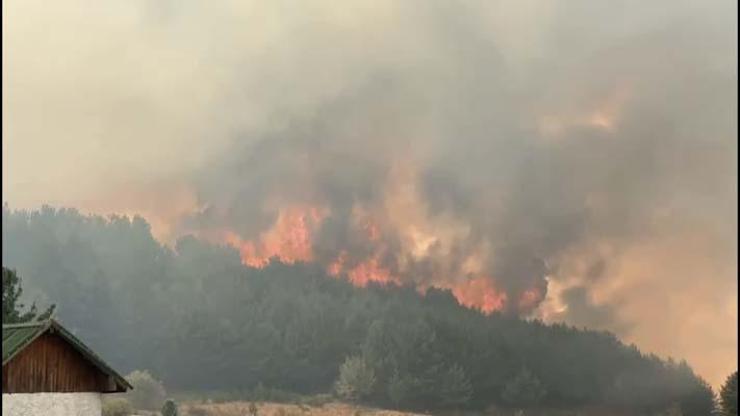 Son dakika: Ankarada başlayan yangın Boluya sıçradı İşte gelişmeler