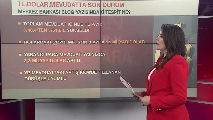 Piyasada döviz dayatmaları işe yaramadı TLde tasarrufların seyri ne olur