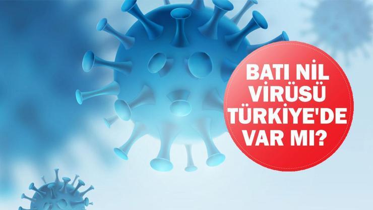 Batı Nil virüsü Türkiyede var mı Sağlık Bakanlığı Batı Nil virüsü açıklaması