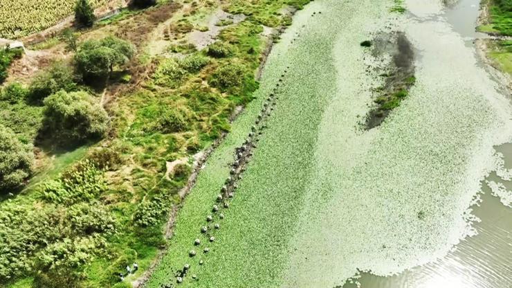 Video Haber | İstanbul’un suyunda ‘kuraklık’ alarmı Tarihi çakmak hattı ortaya çıktı