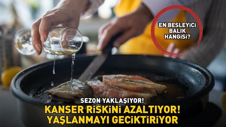 Sezon yaklaşıyor En besleyici balık hangisi Kanser riskini azaltıyor, yaşlanmayı geciktiriyor