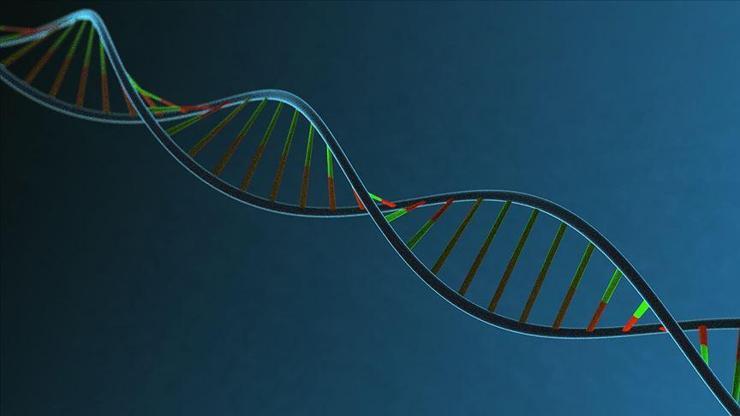 DNA NEDİR DNA örneği eşleşti ne demek Kısaca DNA ile ilgili bilgiler