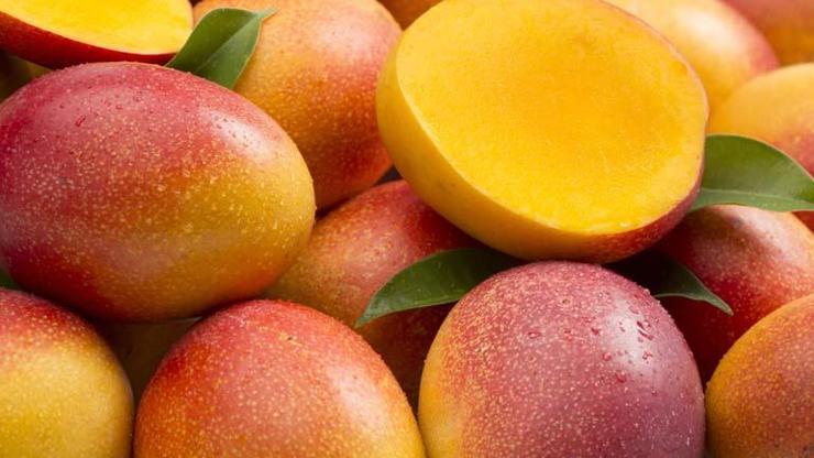 Kanser savaşçısı Uzmanlar şifa deposu diyor... Düzenli tüketildiğinde etkileri inanılmaz: Mango mucizesi