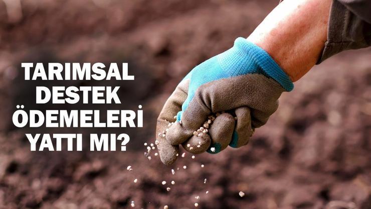 Tarımsal destek ödemeleri 2024 yattı mı, ne zaman yatacak