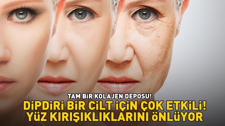 DİPDİRİ BİR CİLT İÇİN EN ETKİLİSİ Yüz kırışıklıklarını önlüyor, yaşlanmayı geciktiriyor Tam bir kolajen deposu