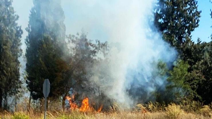 Yatağan'da çıkan orman yangını, büyümeden söndürüldü Yatağan'da çıkan orman yangını, büyümeden söndürüldü