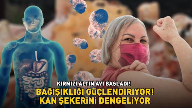 KIRMIZI ALTIN AVI BAŞLADI Kilosu 200 TL Bağışıklığı güçlendiriyor, kan şekerini dengeliyor