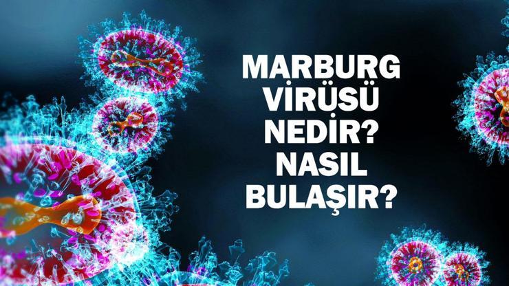 Marburg Virüsü Nedir, Nasıl Bulaşır, Belirtileri Nelerdir