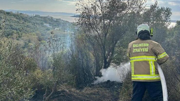 Erdekte yangın: 10 dönümlük zeytinlik kül oldu