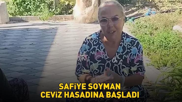 MS hastası oğlu Harun Akarözün ölümüyle yıkılmıştı Ünlü şarkıcı Safiye Soyman ceviz hasadına başladı