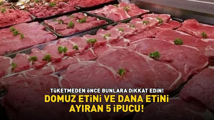 KÖFTECİ YUSUFTA DOMUZ ETİ SKANDALI Bu detaylar ele veriyor: Domuz eti ve dana etini ayıran 5 ipucu