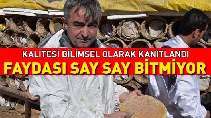 Balgam söktürüyor, göğsü temizliyor Kalitesi bilimsel olarak kanıtlandı Kilosu 2 bin lira DÜNYACA ÜNLÜ KARAKOVAN BALININ FAYDALARI