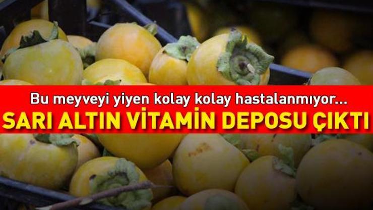 SARI ALTIN VİTAMİN DEPOSU ÇIKTI Bu meyveyi yiyen kolay kolay hastalanmıyor Doğal A, C, B1, B2 ve B3 vitaminleri, magnezyum, kalsiyum kaynağı