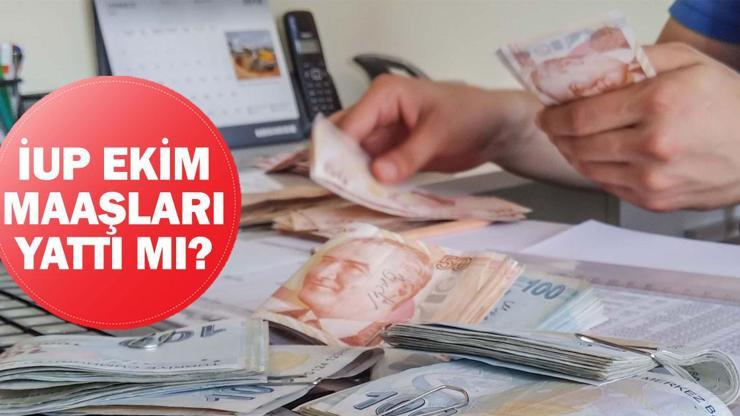 İŞKUR İUP Ekim maaşları yattı mı, ne zaman yatacak, nereden öğrenilir