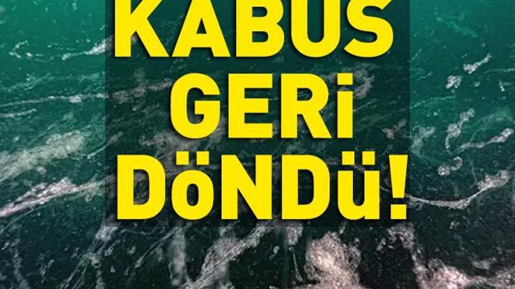 SON DAKİKA Kabus 3 yıl aradan sonra geri döndü Bu uyarı bir profesöre ait