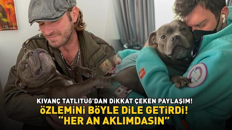 Aşk-ı Memnunun Behlülüydü Kıvanç Tatlıtuğ geçen ay kaybettiği köpeği Gençe özlemini böyle anlattı: HER AN AKLIMDASIN