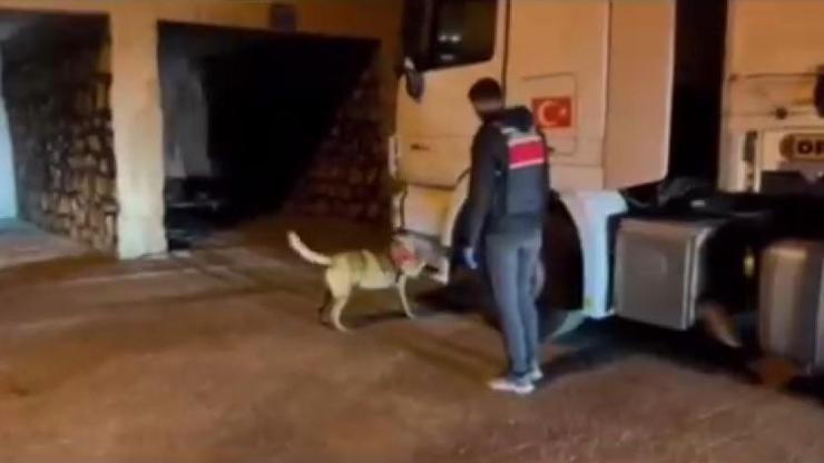 Biber yüklü TIR'da uyuşturucu ele geçirildi: 1 gözaltı Biber yüklü TIR'da uyuşturucu ele geçirildi: 1 gözaltı