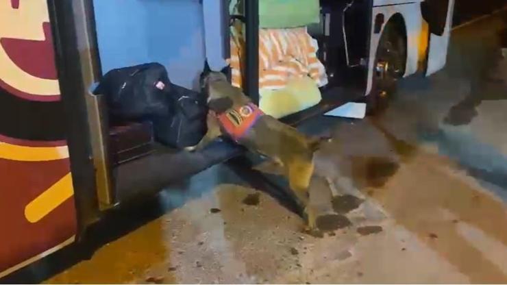 Yolcu otobüsünde 'Zanka' ile arama; 10 kilo skunk ele geçirildi Yolcu otobüsünde 'Zanka' ile arama; 10 kilo skunk ele geçirildi