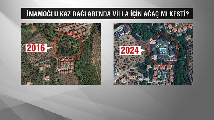 Kaz Dağlarında villa için ağaç kesildi iddiası O ağaçları İmamoğlu mu kestirdi