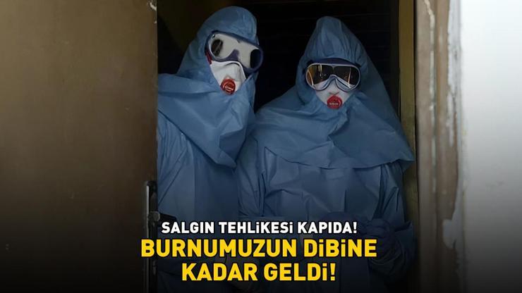 SALGIN TEHLİKESİ KAPIDA Burnumuzun Dibine Kadar Geldi Yüksek Ateş, Öksürük, Boğaz Ağrısı, Mide Bulantısı, Kusma...