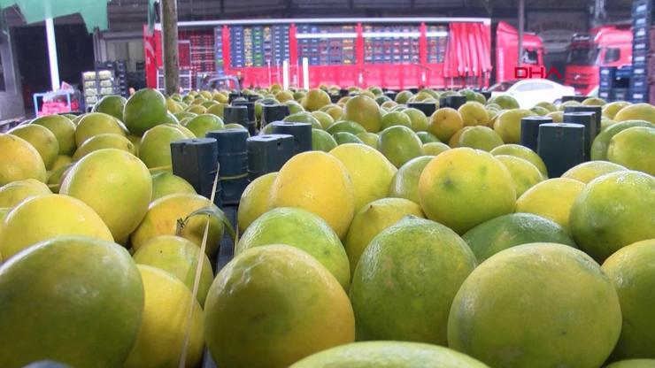 Limonda bahçeden rafa fiyat uçurumu