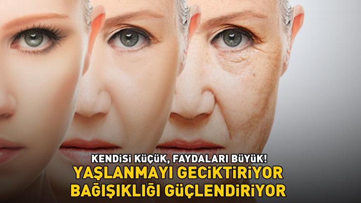 Kilosu 35 TL Kendisi küçük, faydaları büyük: YAŞLANMAYI GECİKTİRİYOR, BAĞIŞIKLIĞI GÜÇLENDİRİYOR