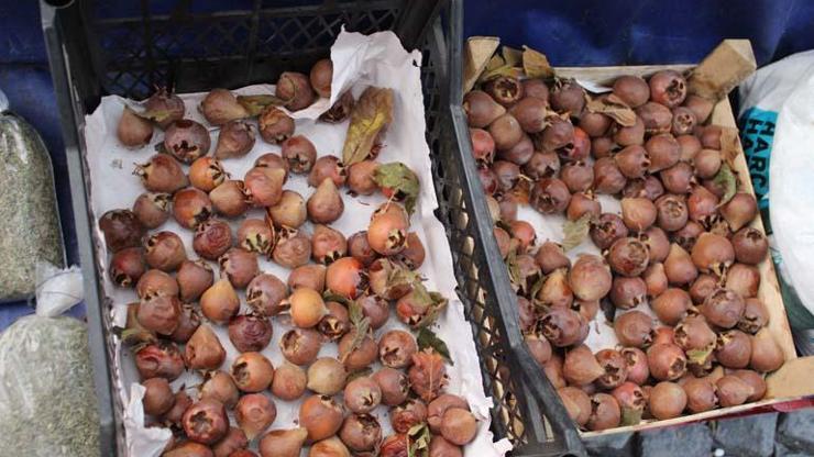 Faydasını bilen fiyatını sormadan alıyor Doğal A ve C vitamini kaynağı... Toksinleri atıyor, astım, bronşit iyi gelmediği şey yok Beşbıyık meyvesi...