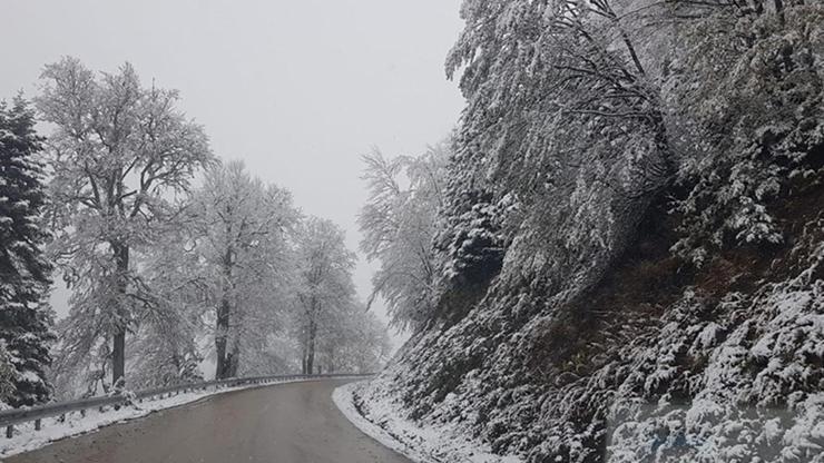 Dikkat Bolu-Yedigöller yolu kar ve buzlanma riski nedeniyle kapatıldı