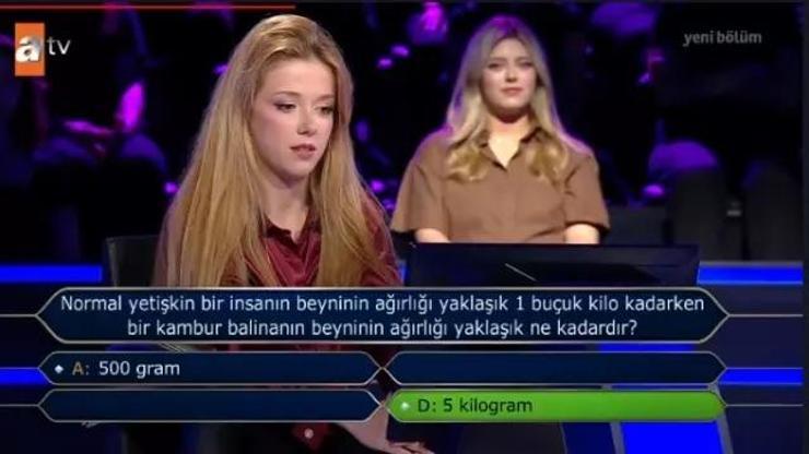 Kambur balina kaç kilo, beyni kaç gram kaç kilo Kim Milyoner Olmak İster sorusu: Kambur balina beyni