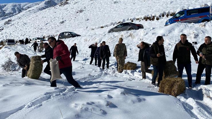 Erzurum'da yaban hayatı için doğaya yem bırakıldı