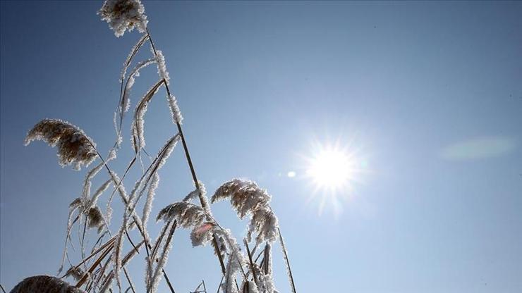 Meteorolojiden azot dioksit gazı açıklaması