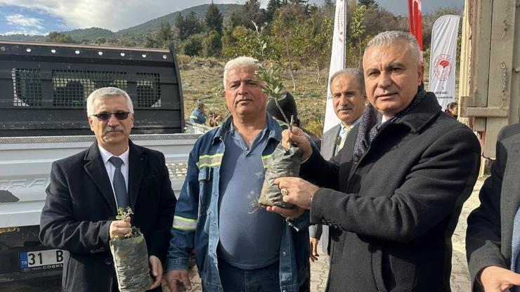 Hatay’da çiftçilere 4 bin adet alıç fidanı dağıtıldı Hatay’da çiftçilere 4 bin adet alıç fidanı dağıtıldı