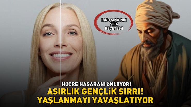 ASIRLIK GENÇLİK SIRRI İbn-i Sinanın şifa reçetesi Hücre hasarını önlüyor, yaşlanmayı yavaşlatıyor