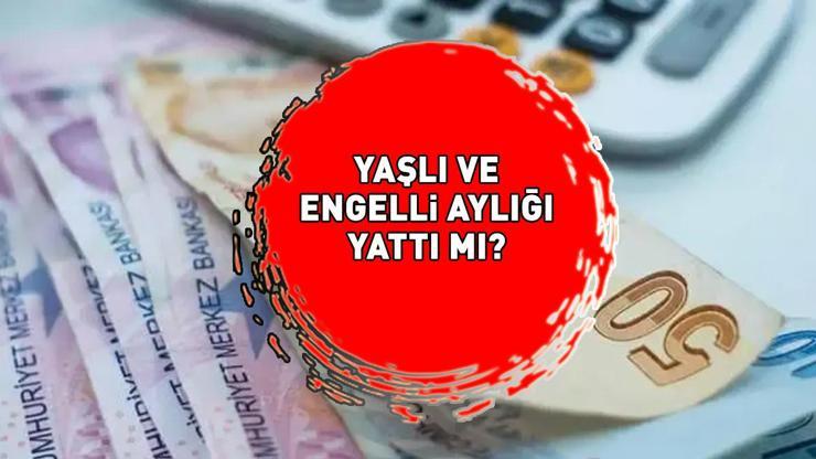 YAŞLI VE ENGELLİ AYLIĞI ÖDEMELERİ 2024: Aralık ayı yaşlı ve engelli aylığı ödemeleri yattı mı Bakan Göktaş açıkladı