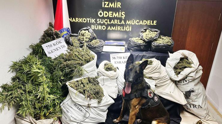 İzmir'de 38 kilo 750 gram esrar ele geçirildi