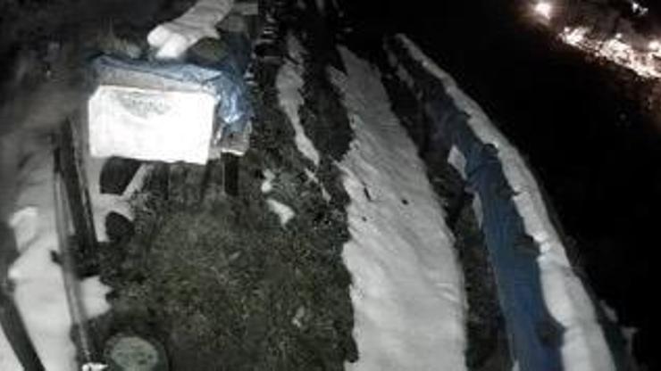 Kış uykusuna yatmayan ayıların kovanlara ulaşmaya çalıştığı anlar kamerada Kış uykusuna yatmayan ayıların kovanlara ulaşmaya çalıştığı anlar kamerada