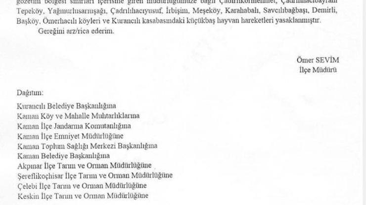 Kırşehir'de çiçek hastalığı görüldü; 13 köyde hayvan hareketi durduruldu