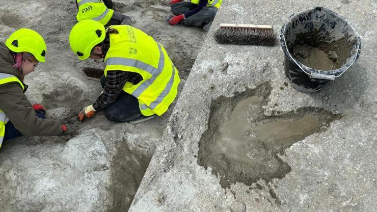 166 milyon yıllık dinozor ayak izleri keşfedildi