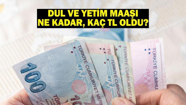 Dul ve yetim maaşı ne kadar, kaç TL oldu Yeni ve zamlı dul-yetim aylığı miktarı