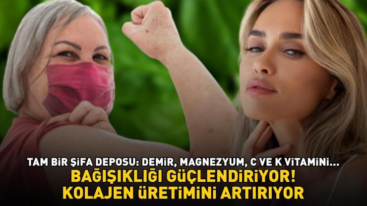 KİLOSU 14 TL Bağışıklığı Güçlendiriyor, Kolajen Üretimini Artırıyor Tam Bir Şifa Deposu: C Vitamini, K Vitamini, Demir, Magnezyum...