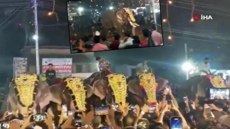 Festival alanı facia alanına döndü Fil insanlara saldırdı, havaya kaldırıp yere fırlattı