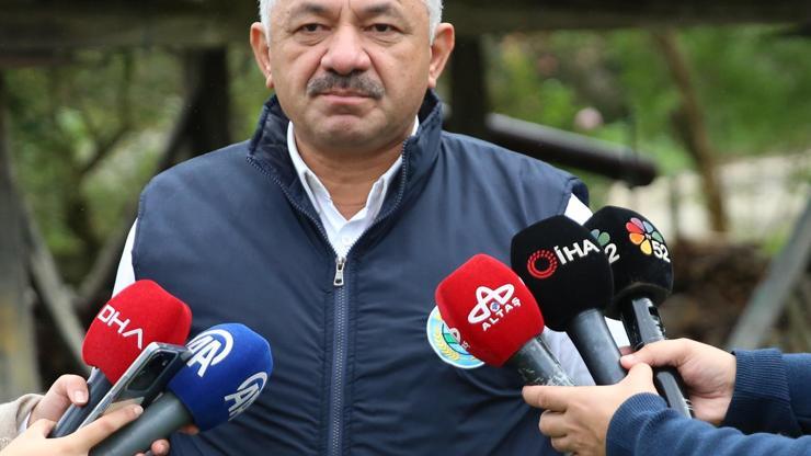Ordu'da fındığın kilogramı 125 liradan işlem görüyor Ordu'da fındığın kilogramı 125 liradan işlem görüyor
