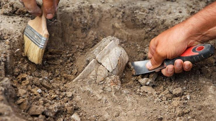 DNA bulguları, Demir Çağı’ndaki toplumsal yapıyı ortaya çıkardı: Erkekler iç güveyi olarak yaşıyordu