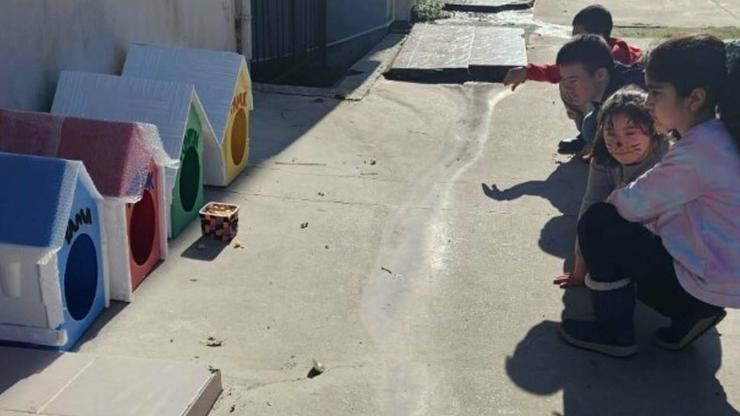 Özel çocuklar, patili dostlar için barınak yaptı Özel çocuklar, patili dostlar için barınak yaptı